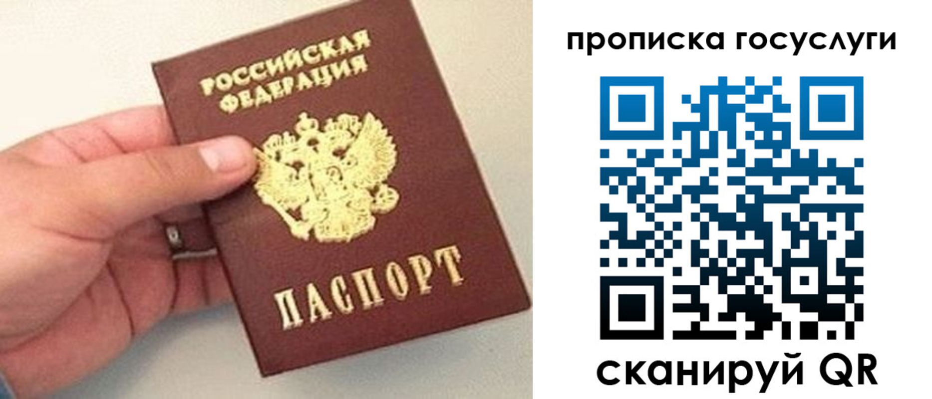 где прописаться в Ржеве