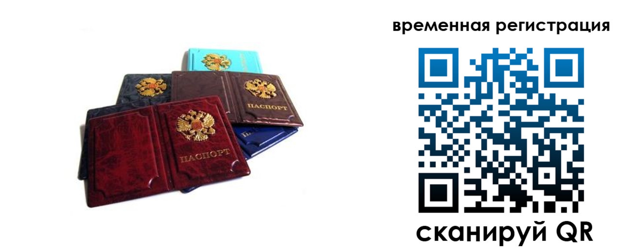 прописка для работы в Ржеве